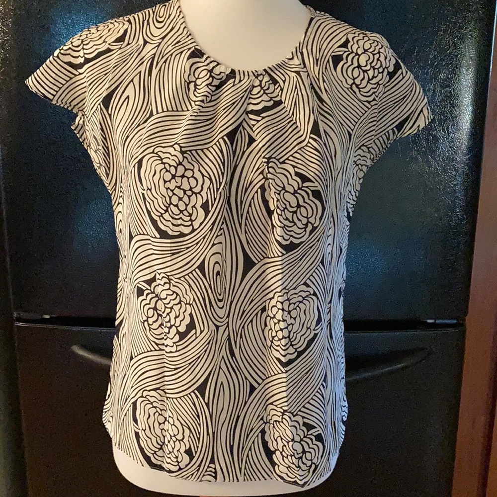 Talbots Silk Shirt
